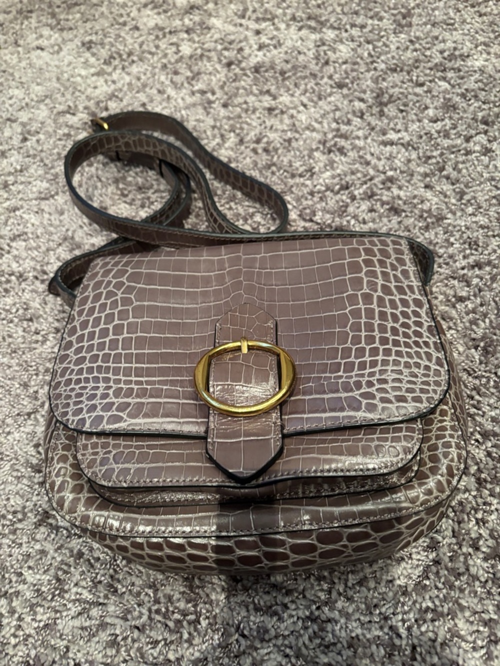Banana Republic Taupe Croc-Embossed Crossbody with Gold Buckle